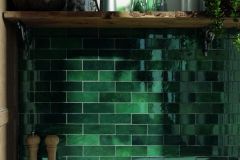 Whinfell-Moss-Green